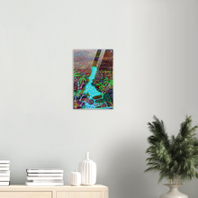 Load image into Gallery viewer, Acrylic Print: Six Mile Spring
